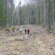 Z��ez  hlubok� m�sty 4m.Sm�r Ole�n�-Ka��zek