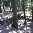 Hrad Vimberg