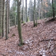Nsep smr Straice-Dobv.Nsep vede podl silnice