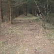 Nsep v lese u Zajeova (Milina).Tento nsep je dlouh zhruba 300m a je nejzachovalej z cel drhy