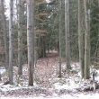 Nsep Straice-Dobv