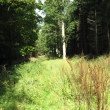 Olen-Kazek zez