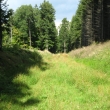 Olen-KazekZez